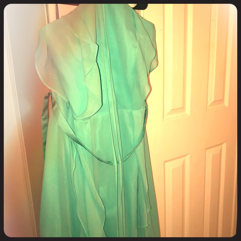 Vera Wang dress in color Spa